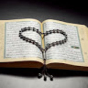 Meet your Posher, Noora